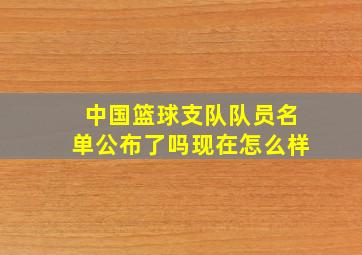 中国篮球支队队员名单公布了吗现在怎么样