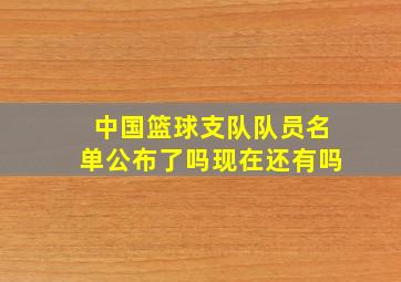 中国篮球支队队员名单公布了吗现在还有吗