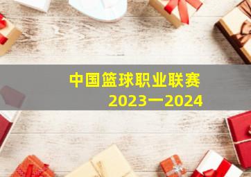 中国篮球职业联赛2023一2024