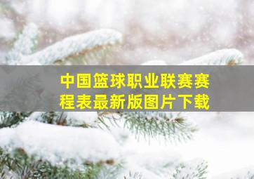 中国篮球职业联赛赛程表最新版图片下载