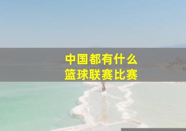 中国都有什么篮球联赛比赛