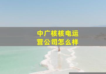 中广核核电运营公司怎么样