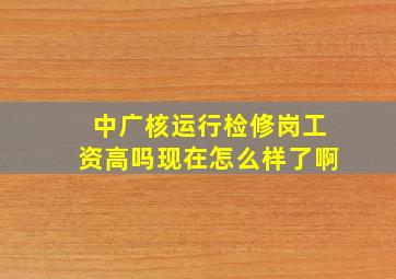 中广核运行检修岗工资高吗现在怎么样了啊