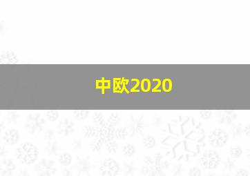 中欧2020