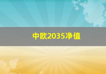 中欧2035净值