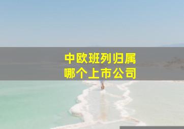 中欧班列归属哪个上市公司