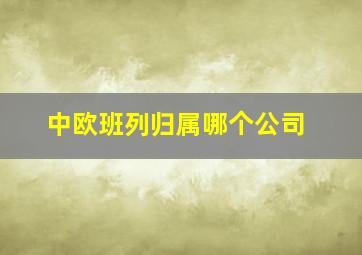 中欧班列归属哪个公司