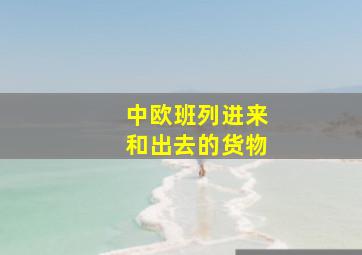 中欧班列进来和出去的货物