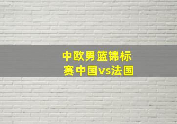 中欧男篮锦标赛中国vs法国