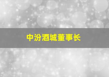 中汾酒城董事长