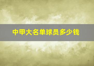 中甲大名单球员多少钱