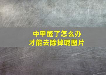 中甲醛了怎么办才能去除掉呢图片