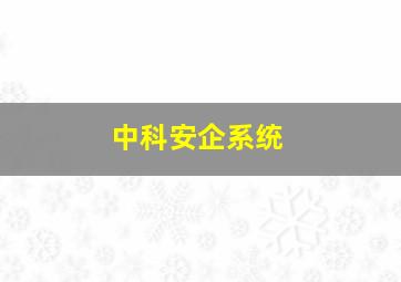 中科安企系统