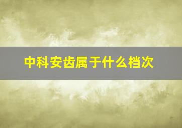 中科安齿属于什么档次