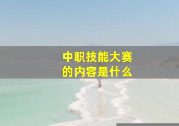 中职技能大赛的内容是什么