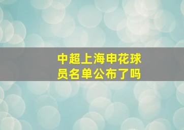 中超上海申花球员名单公布了吗