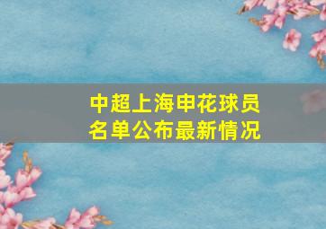 中超上海申花球员名单公布最新情况