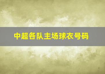 中超各队主场球衣号码