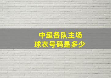 中超各队主场球衣号码是多少