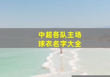 中超各队主场球衣名字大全