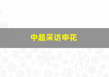 中超采访申花