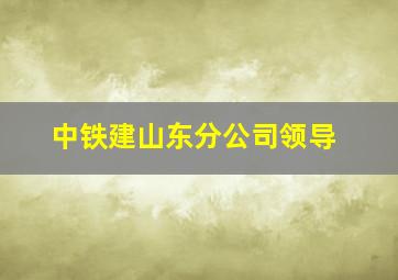 中铁建山东分公司领导