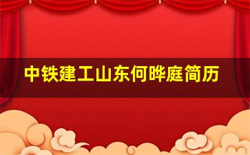 中铁建工山东何晔庭简历