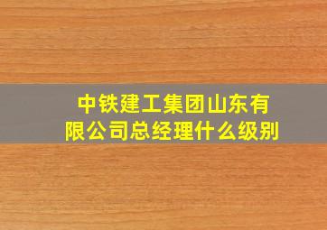 中铁建工集团山东有限公司总经理什么级别