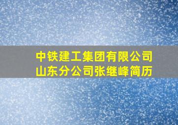 中铁建工集团有限公司山东分公司张继峰简历