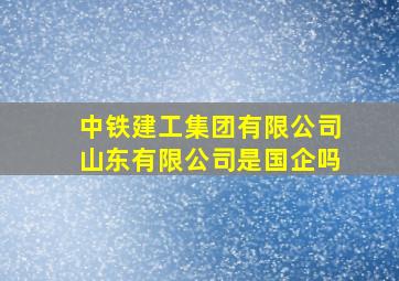 中铁建工集团有限公司山东有限公司是国企吗