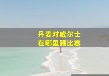 丹麦对威尔士在哪里踢比赛