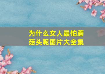 为什么女人最怕蘑菇头呢图片大全集