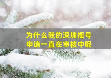 为什么我的深圳摇号申请一直在审核中呢