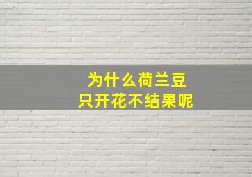 为什么荷兰豆只开花不结果呢