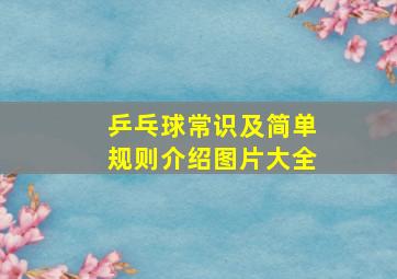 乒乓球常识及简单规则介绍图片大全