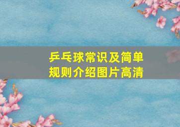 乒乓球常识及简单规则介绍图片高清