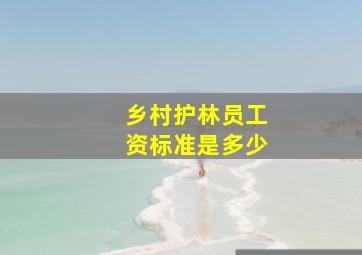 乡村护林员工资标准是多少