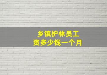 乡镇护林员工资多少钱一个月