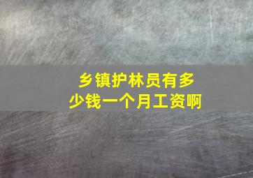 乡镇护林员有多少钱一个月工资啊