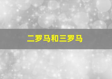 二罗马和三罗马