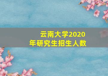 云南大学2020年研究生招生人数