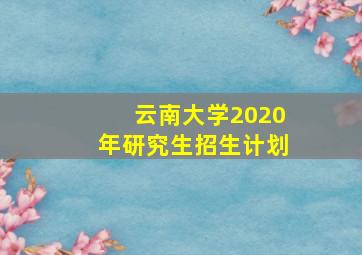 云南大学2020年研究生招生计划