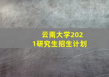 云南大学2021研究生招生计划