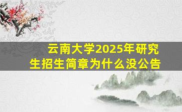 云南大学2025年研究生招生简章为什么没公告