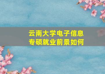 云南大学电子信息专硕就业前景如何