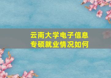 云南大学电子信息专硕就业情况如何