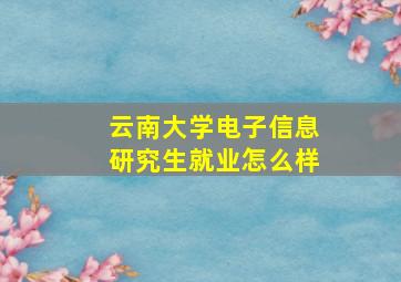 云南大学电子信息研究生就业怎么样