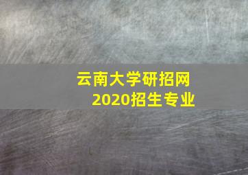 云南大学研招网2020招生专业