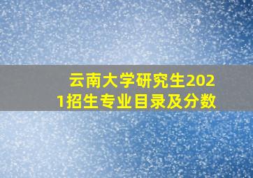 云南大学研究生2021招生专业目录及分数