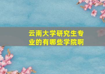 云南大学研究生专业的有哪些学院啊